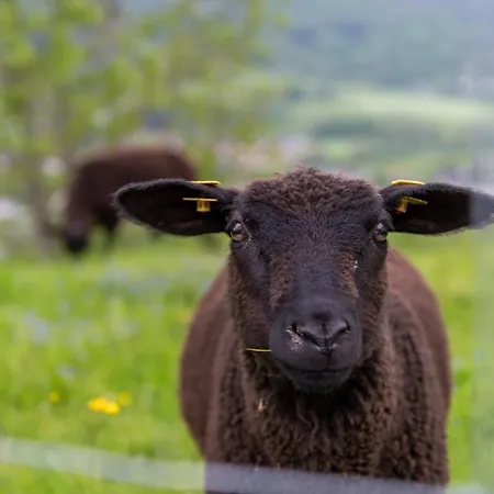 Panoramahotel Stocker Пруггерн