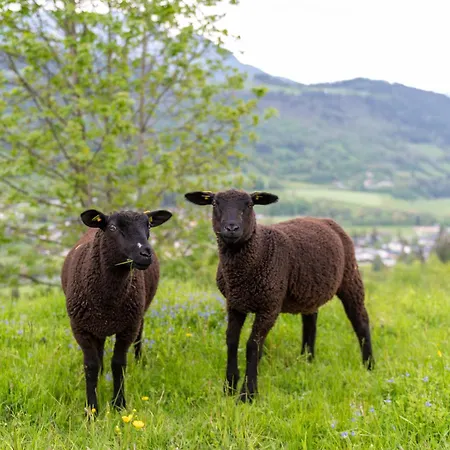 Panoramahotel Stocker Пруггерн