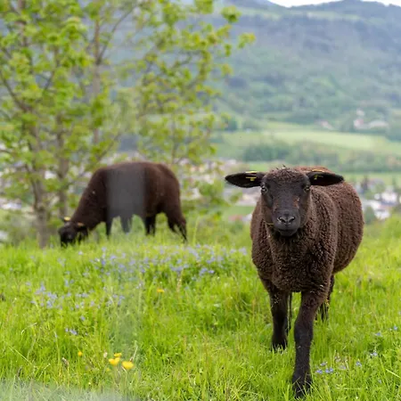 Panoramahotel Stocker 3*