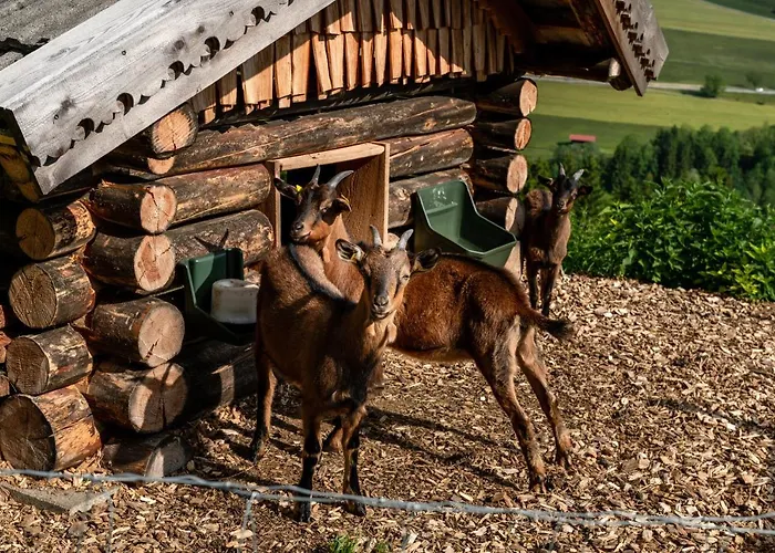 Panoramahotel Stocker 3* 普鲁格恩