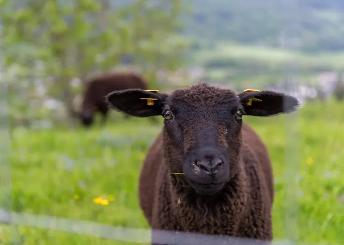 Panoramahotel Stocker 普鲁格恩
