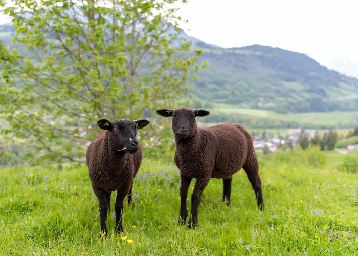 Panoramahotel Stocker Pruggern