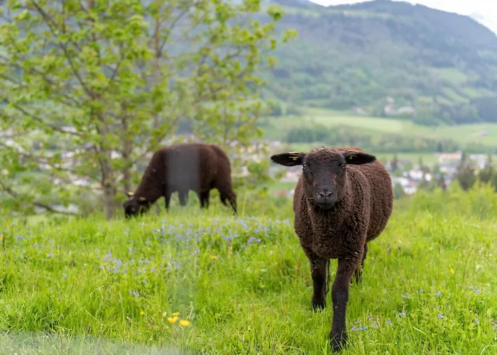 Panoramahotel Stocker 3*