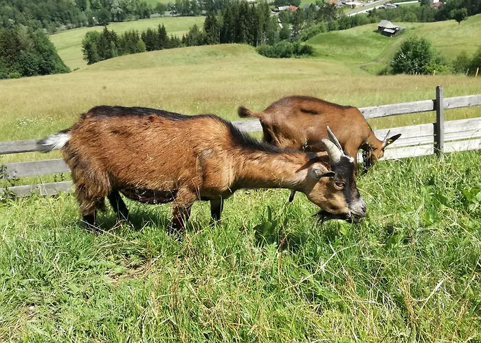 Panoramahotel Stocker